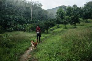 BIB: 
                            <button type="button" onclick="openModal(26448905)" class="btn btn-primary btn-sm float-right btn-popup" data-toggle="modal" data-target=".modal-high-quality">
                        <i class="fas fa-shopping-cart"></i> Add to Cart
                    </button>
                                            <button type="button" onclick="isThisMe(26448905, true)" class="btn btn-success btn-sm float-right btn-popup btn-isme hidden" data-toggle="tooltip" data-placement="bottom" title="นี่คือรูปของคุณใช่ไหม คลิกที่นี่เพื่อเอาเข้าอัลบั้ม">
                        <i class="fas fa-plus"></i> Add to album
                    </button>
                    <button type="button" onclick="isThisMe(26448905, false)" class="btn btn-warning btn-sm float-right btn-popup btn-isnotme hidden">
                        <i class="fas fa-ban"></i> Remove from album
                    </button>